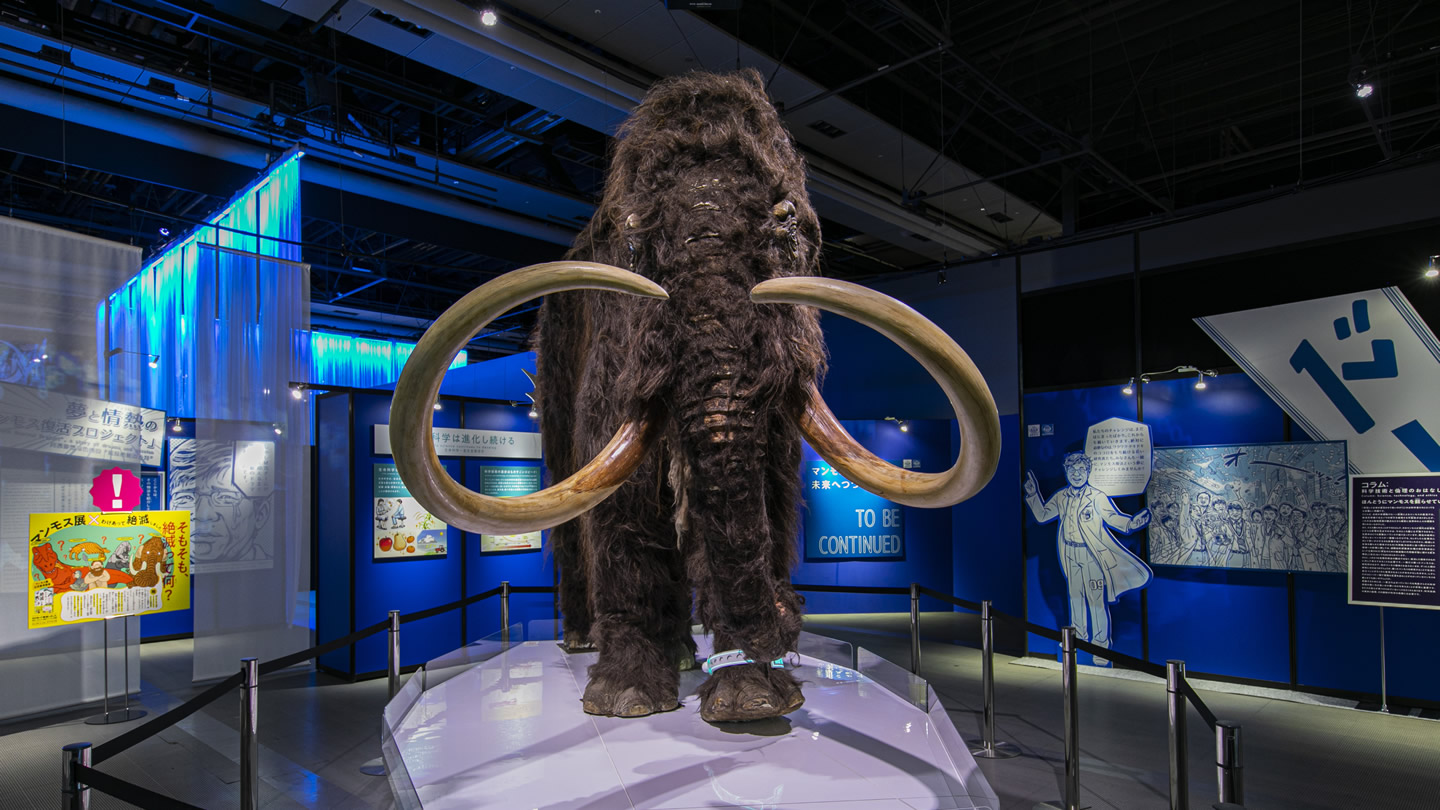 Slide 3: Woolly mammoth (model)