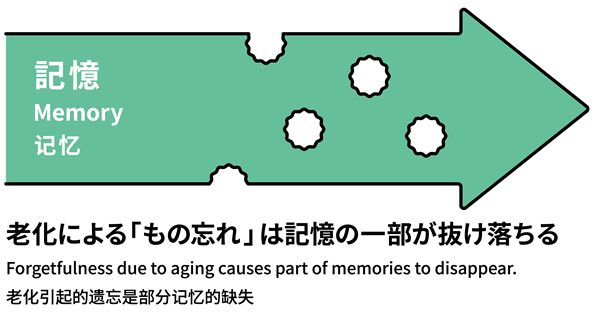 老化による「物忘れ」は記憶の一部が抜け落ちる