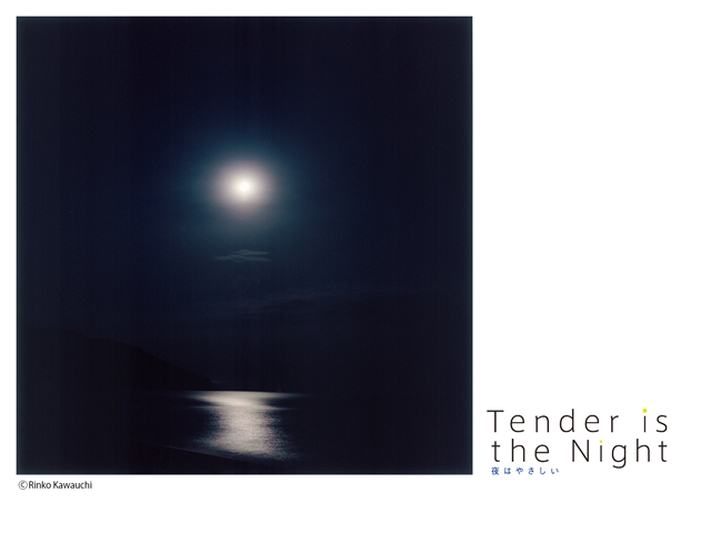 『Tender is the Night』