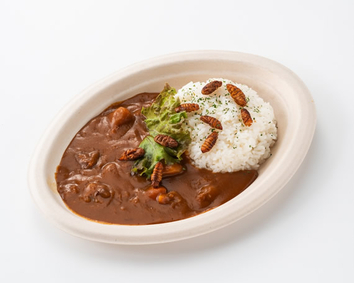 ミュージアムショップ カフェ レストラン合同企画 未来食フェア 昆虫 日本科学未来館 Miraikan ミュージアムショップ カフェ レストラン合同企画 未来食フェア 昆虫 日本科学未来館 Miraikan