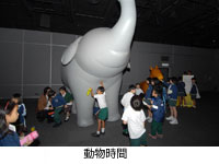 動物時間