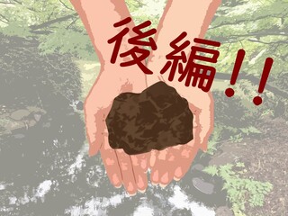泥と発電菌と過ごした1年 ～後編：白露から啓蟄、そして春分～ の画像