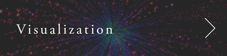 Visualization