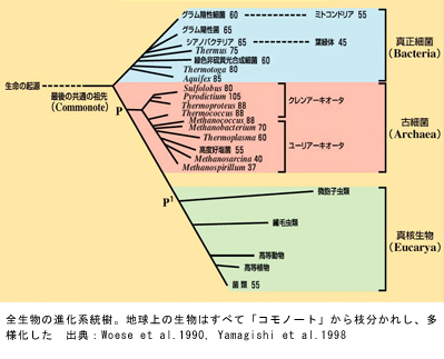 v8.jpg