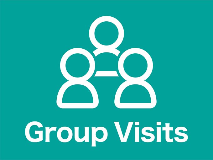 Group Visits